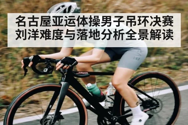名古屋亚运体操男子吊环决赛刘洋难度与落地分析全景解读